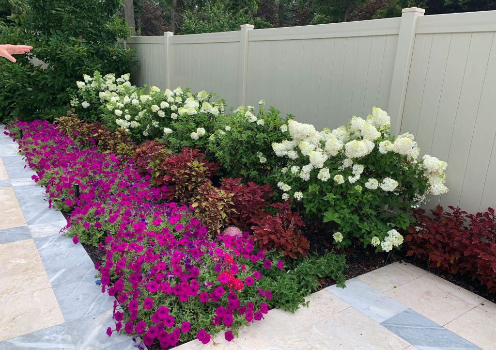 Seasonal Planting Guide: How To Create a Year-Round Garden Design ...